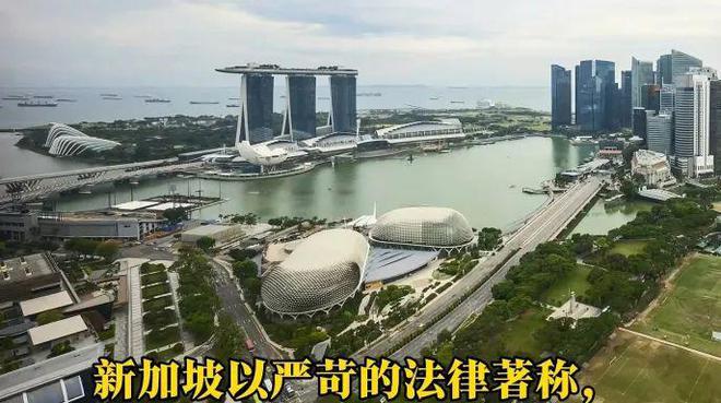 地铁小便被捕后罚款上万网友：素质低别来新加坡人生就是博-尊龙凯时丢脸！一中国男子在新加坡(图8)